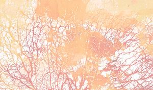 Die Seele des Waldes