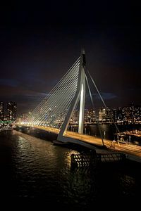 Erasmusbrug bij Nacht – Rotterdam Skyline