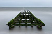 Wellenbrecher an der niederländischen Küste bei Westkapelle in Zeeland