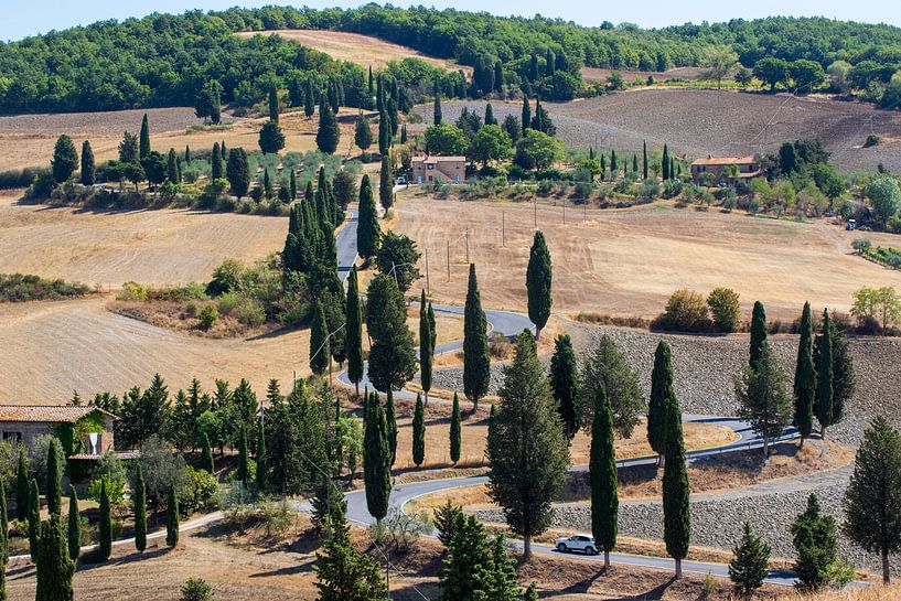 Cipressenweg Toscane van Jolanda van Eek en Ron de Jong