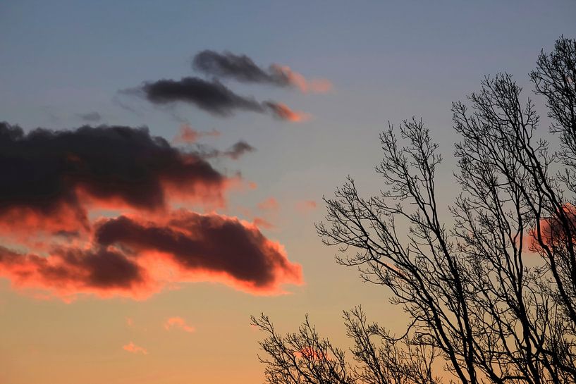 Abendlicht von Thomas Jäger