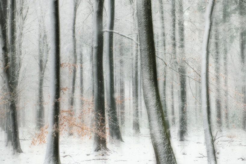 Het sprookjes bos in de winter van Loulou Beavers