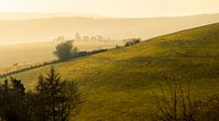 Mistige ochtend in Sauerland