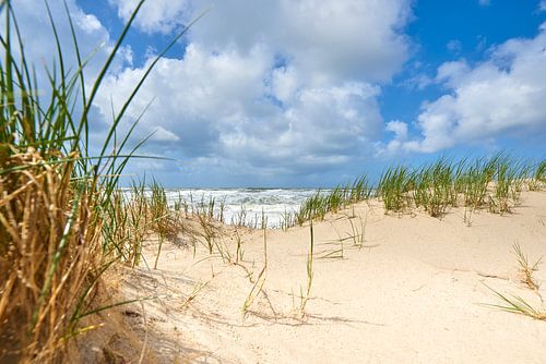 Sunny North Sea beach