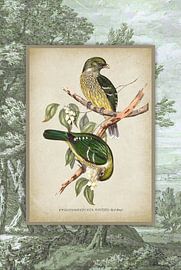 Vintage Green Bird in a Landscape by Behindthegray