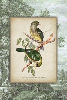 Oiseau vert vintage sur un paysage
