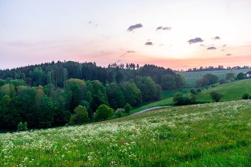 Randonnée estivale à vélo dans les environs de Schmalkalden jusqu'à la vallée de la Werra près de Fambach - Thuringe - Allemagne par Oliver Hlavaty