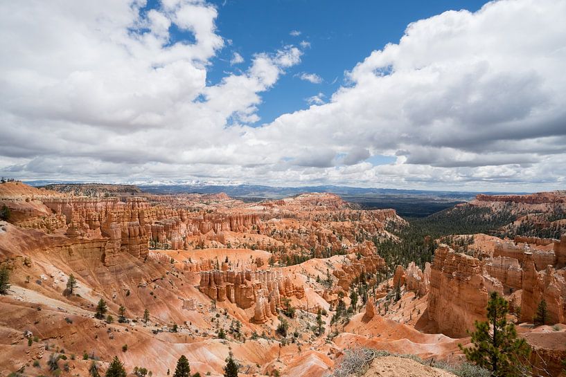 Bryce Canyon National park by Robby van Vliet