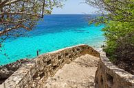 Landschaft 1000 Stufen als Tauchplatz im Meer auf der Insel Bonaire von Ben Schonewille Miniaturansicht