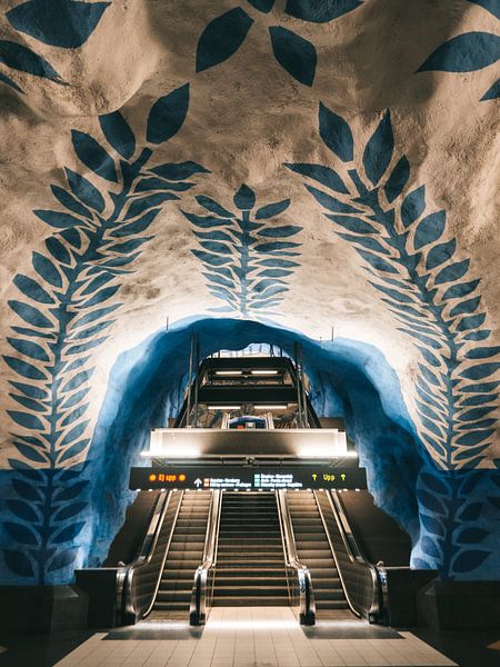 U-Bahn-Architektur am Hauptbahnhof T-Centralen Stockholm, Schweden von Michiel Dros