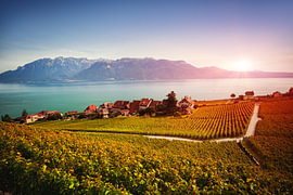Sunset Over Lavaux Vineyards and Lake Geneva by Gayane Nakada