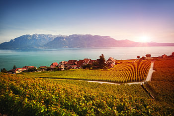 Coucher de soleil sur les vignobles de Lavaux et le lac Léman