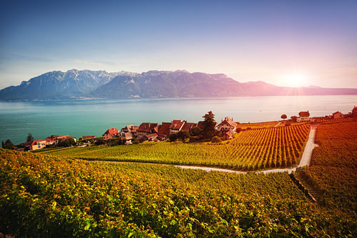 Coucher de soleil sur les vignobles de Lavaux et le lac Léman