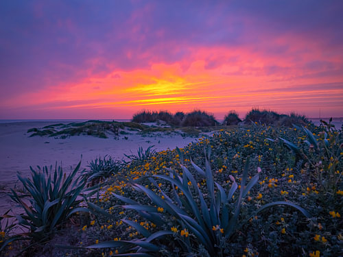 Sonnenuntergang Conil de la Frontera