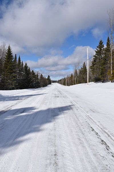 A country road in winter by Claude Laprise