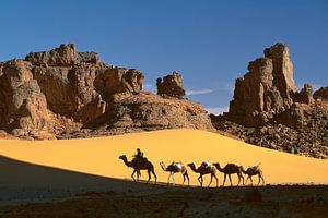 Wüste Sahara, Kamelkarawane und Tuareg-Kameltreiber