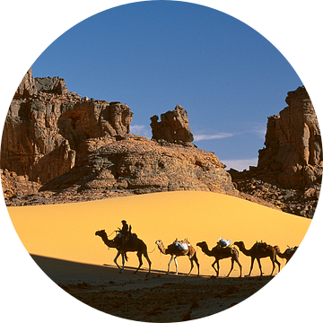 Sahara woestijn, Kamelenkaravaan van Frans Lemmens