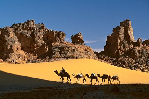 Sahara desert, Camel caravan and Tuareg camel driver
