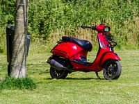 Scooter abandonné sur un terrain.