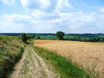 Heuvellandschap sur Rinke Velds