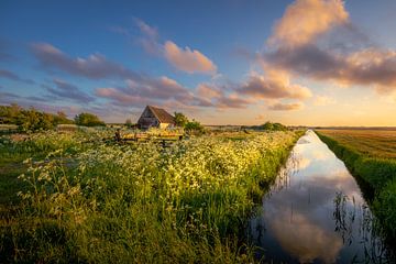 Refelcties van de ochtend van Andy Luberti