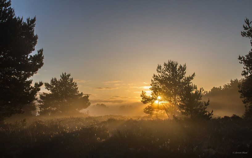 Mystic by Jeroen Maas
