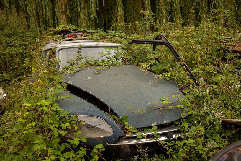 citroen DS by anne droogsma