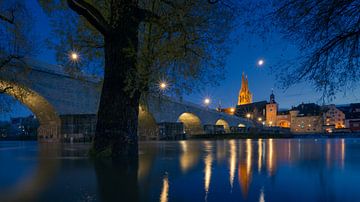 Overstromingswater in Regensburg Beieren met stenen brug en kathedraal St. Peter bij nacht van Robert Ruidl