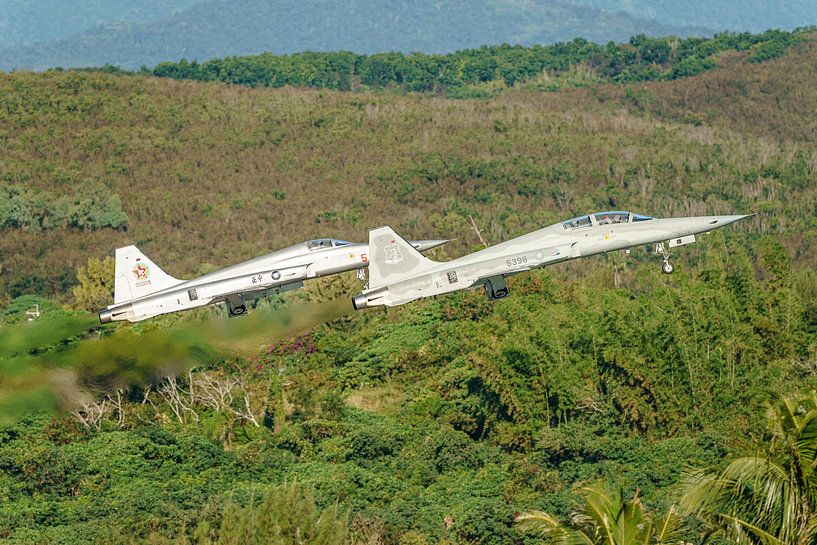 Taiwanesische Northrop F-5F und F-5E Tiger II. von Jaap van den Berg
