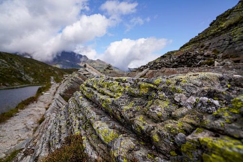Zomers berglandschap in Zwitserland met groene alpenweiden en markante bergtoppen.