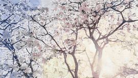 Dawn: Magnolia Blossom Mosaic by Dirk van der Ven