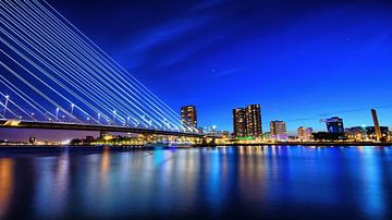 Skyline Rotterdam bluehour