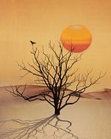 Desert tree