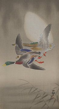 A pair of Flying Ducks and Moon, Ohara Koson