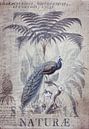 The Peacock King by Andrea Haase thumbnail
