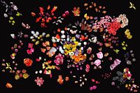 Project #RGBMetTulp2016