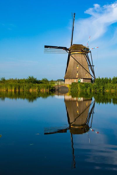 Kinderdijk van Michel Van Rhee