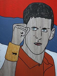 Novak Djokovic van hou2use