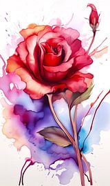 watercolor rose by Virgil Quinn - Decorative Arts