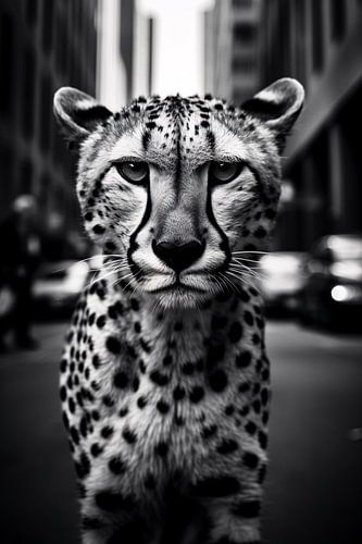 Animal life in the city