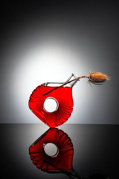 Bottle with teasel. by Gerhard de Wit