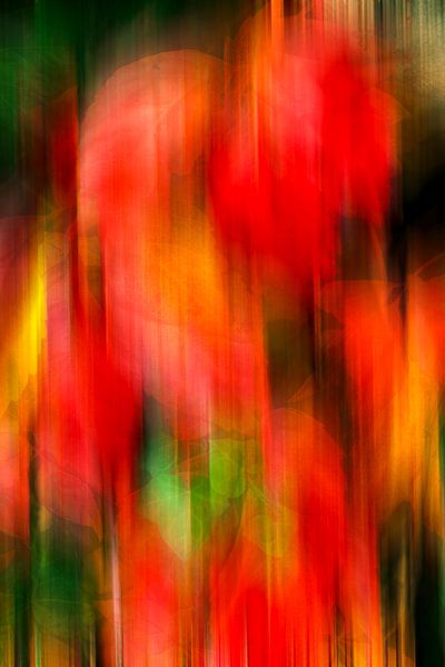 Falling autumn leaves by Dieter Walther