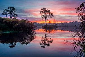 Sunrise Voorste Goorven Oisterwijk