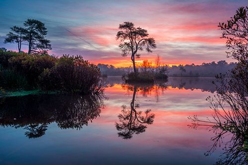 Sunrise Voorste Goorven Oisterwijk