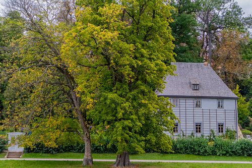 Welkom in het Ilmpark in de klassieke stad Weimar