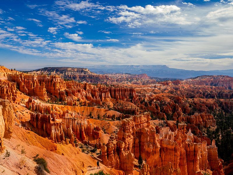 Bryce Canyon in seiner ganzen Pracht von Marloes Bakuwel
