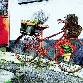 Fahrrad mit Blumen in Saint-Valery-sur-Somme von Jan Sportel Photography
