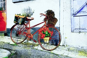 Vélo avec des fleurs à Saint-Valery-sur-Somme