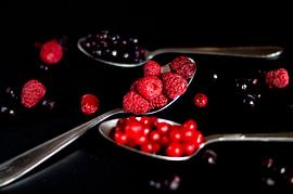 Rood fruit stilleven van Anne Van Opdorp