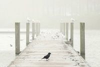 Gerüstbau im Nebel